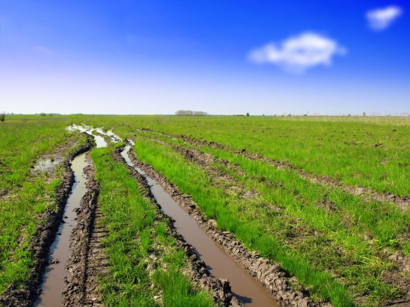 Seasonal Timing for Dirt Leveling